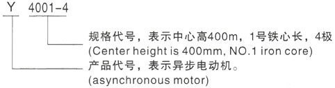 西安泰富西玛Y系列(H355-1000)高压YRKK5601-8/560KW三相异步电机型号说明